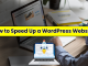 How to Speed Up a WordPress Website in 2024